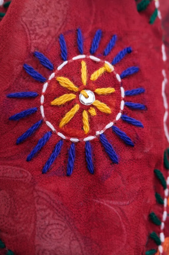kanta rojo zoom.webp
