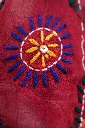 kanta rojo zoom.webp