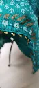 DETALLES AZUL.webp