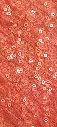 DETALLE CORAL.webp